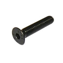 Flathead M3x8 Socket Screw (10)
